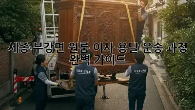 세종 부강면 원룸 이사, 용달 운송 과정 완벽 가이드