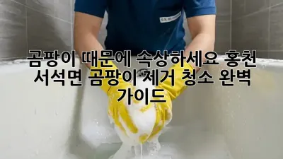 곰팡이 때문에 속상하세요? 홍천 서석면 곰팡이 제거 청소 완벽 가이드
